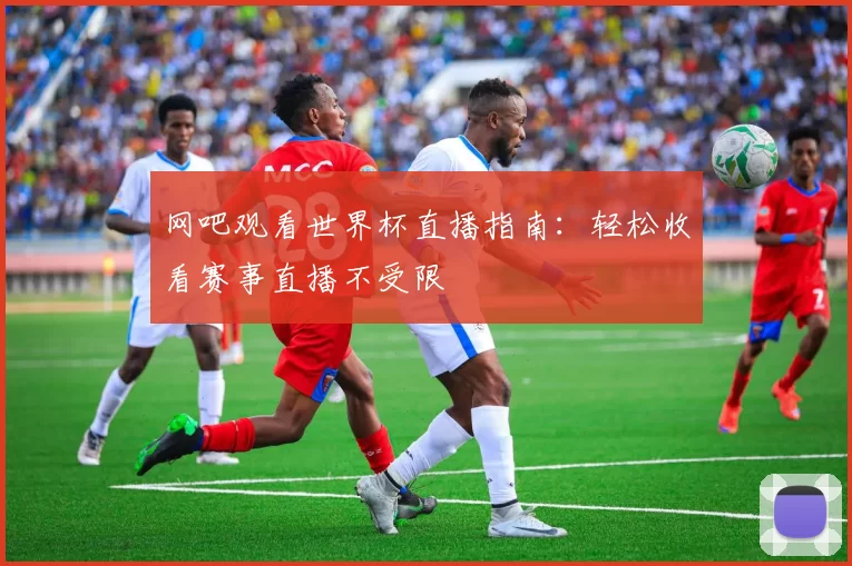 网吧观看世界杯直播指南:轻松收看赛事直播不受限