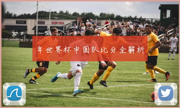 年世界杯中国队比分全解析