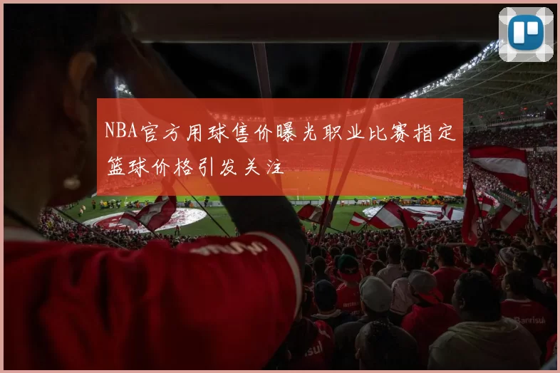 NBA官方用球售价曝光职业比赛指定篮球价格引发关注