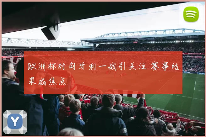 欧洲杯对匈牙利一战引关注 赛事结果成焦点