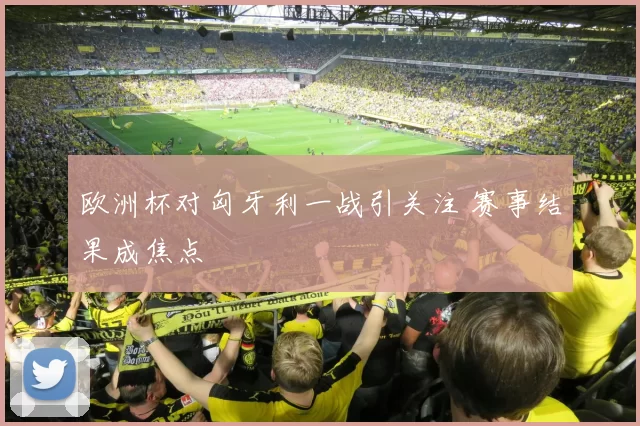 欧洲杯对匈牙利一战引关注 赛事结果成焦点
