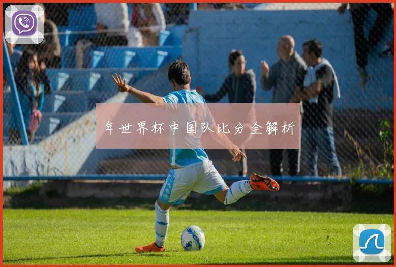 年世界杯中国队比分全解析