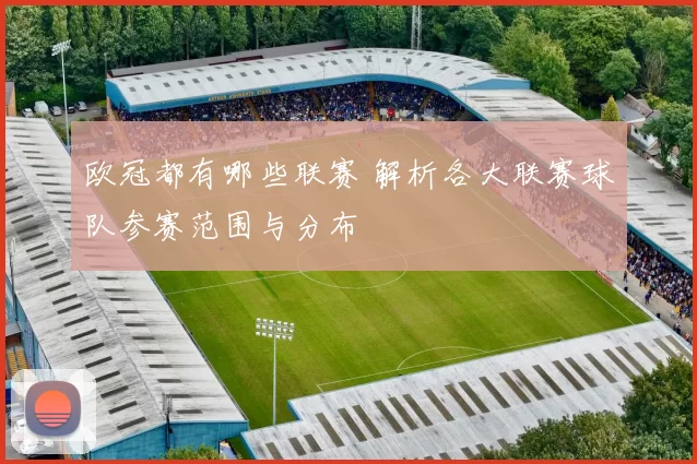 欧冠都有哪些联赛 解析各大联赛球队参赛范围与分布