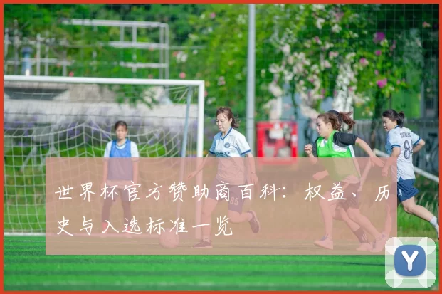 世界杯官方赞助商百科:权益、历史与入选标准一览