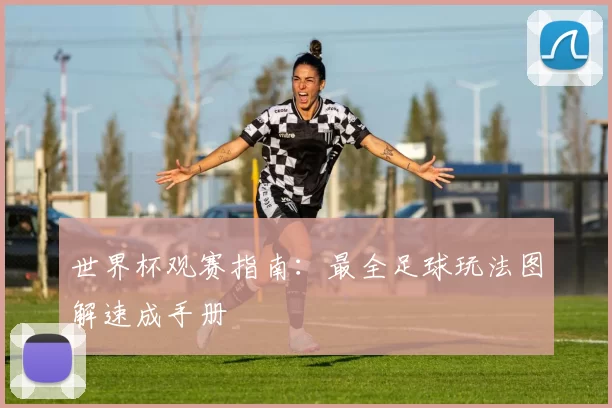 世界杯观赛指南:最全足球玩法图解速成手册